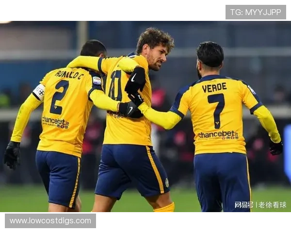 海星体育直播开启新赛季，精彩赛事实时同步全网覆盖