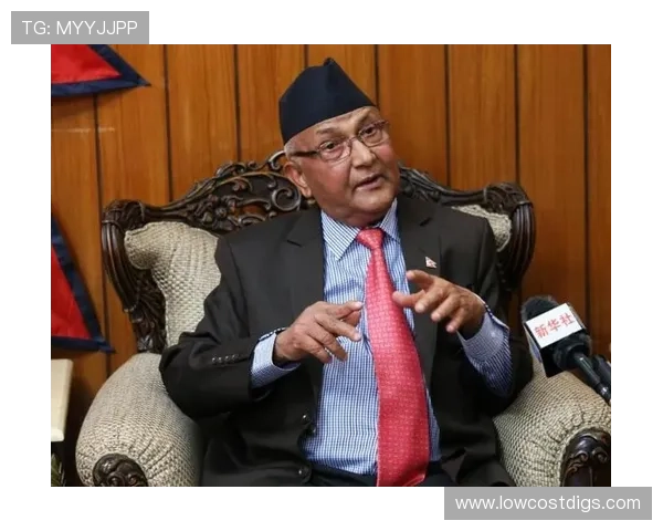 风云体育娱乐官网提供专业的赛事分析和实时比分，帮助用户掌握比赛动态和战术信息