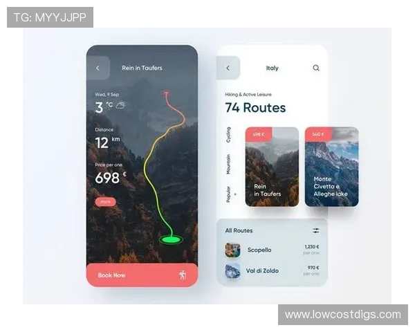 飞驰在线注册平台：操作简便界面友好让新手也能轻松注册成功