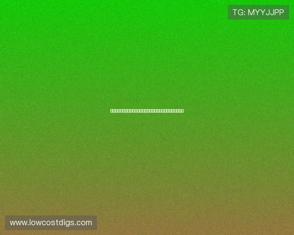 有久体育直播平台提供多样化的体育赛事直播内容满足不同用户需求