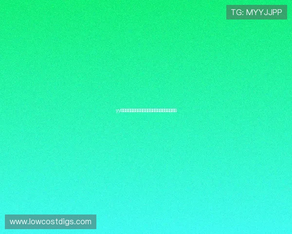 yy体育品牌助力世界杯赛事报道打造专业体育内容平台